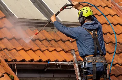 Démoussage et hydrofuge de toiture à Hardanges